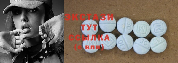 индика Переславль-Залесский
