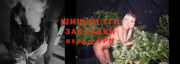 ПСИЛОЦИБИНОВЫЕ ГРИБЫ Балабаново