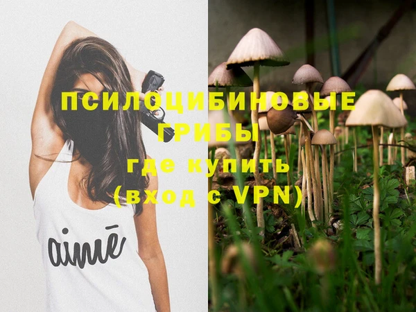 индика Переславль-Залесский