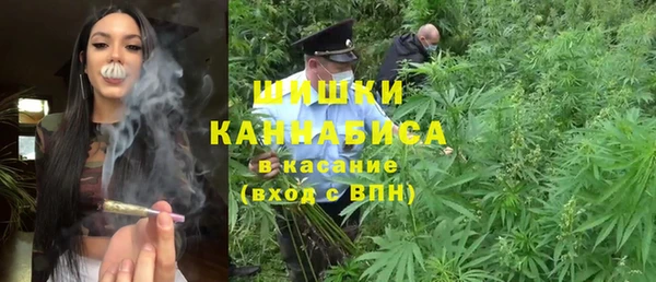 ПСИЛОЦИБИНОВЫЕ ГРИБЫ Балабаново