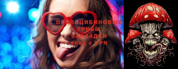 ПСИЛОЦИБИНОВЫЕ ГРИБЫ Балабаново